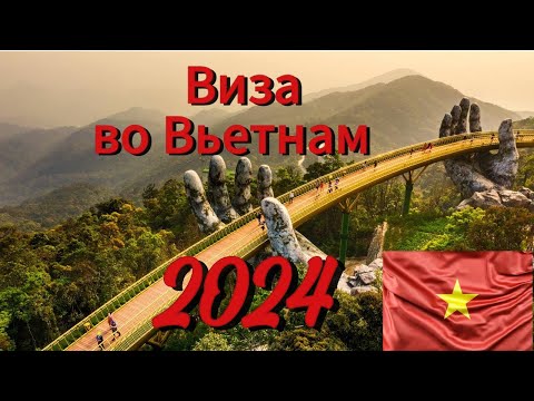 Видео: Виза во Вьетнам 2024 / eVisa / 90 дней