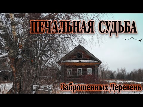Видео: ДОМ ВЕТЕРАНА, Старые ФОТОГРАФИИ  и много ИНТЕРЕСНЫХ находок в ЗАБРОШЕННОЙ ДЕРЕВНЕ