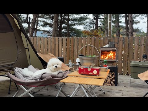 Видео: Зимний кемпинг начинается с моей пушистой собаки
