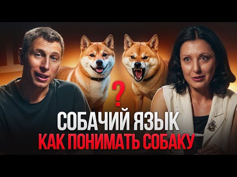 Видео: Собаки умеют говорить через лапы, уши, хвост и лай