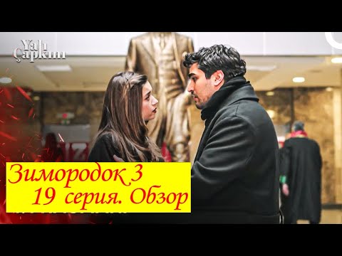 Видео: Зимородок 3. Обзор 19 серии