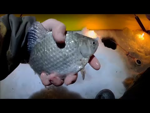 Видео: Рыбалка на озере Салтаим в Омской области. Вечерняя ловля карася зимой на мормышку со льда