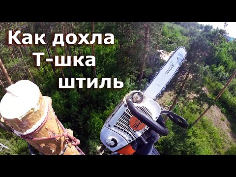 Видео: Stihl MS 201T - последняя её работа