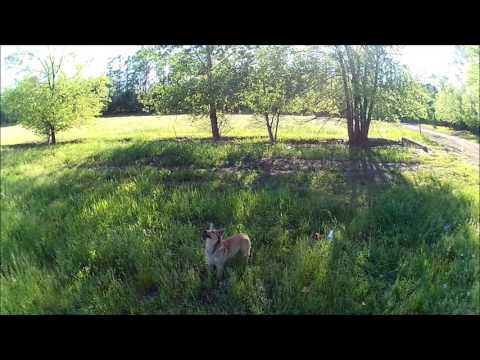 Видео: Прикольный сюжет