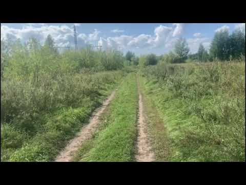Видео: Признаки сильной химии между двумя людьми