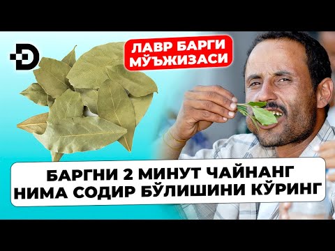 Видео: ХАР КУН ЛАВР БАРГИНИ ЧАЙНАЙМАН. БЎҒИМ ОҒРИҚЛАРИ ЙЎҚОЛИБ ЮГУРИБ ЮРИБМАН. ХАЛҚ ТАБОБАТИ