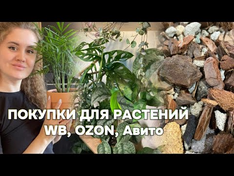 Видео: Обзор новых растений💚Покупки с WB, Ozon, Авито