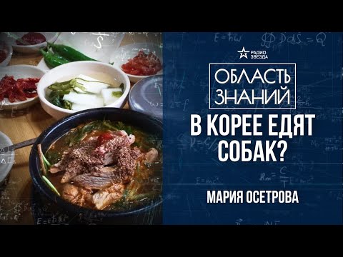 Видео: Правда и мифы о корейской кухне. Лекция востоковеда Марии Осетровой