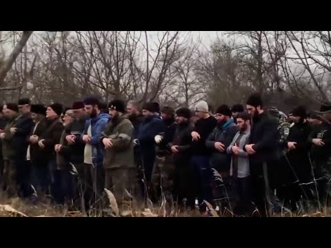 Видео: Один день из жизни села Нурадилово