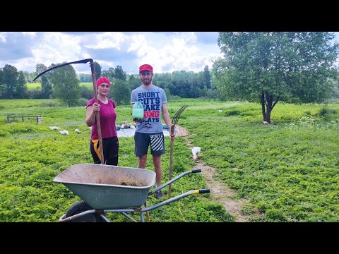 Видео: С ЧЕГО НАЧИНАЕТСЯ УТРО В ДЕРЕВНЕ