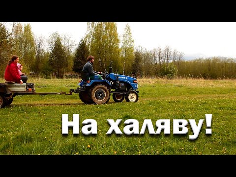 Видео: Спас от гибели пасеку// Нашел 25 тысяч на помойке// Очередные питомцы.