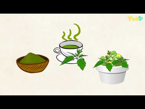 Видео: CAP4US: Коприва