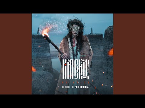 Видео: Кони