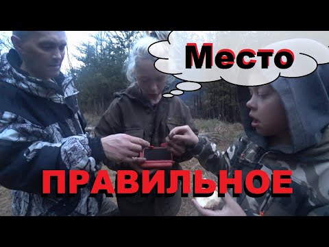 Видео: Приехали на "ВЫБИТОЕ"место а там?!Это правильно или не правильно? первая серия