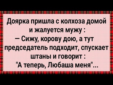 Видео: Как Доярка в Колхозе Председателя Доила! Сборник Свежих Анекдотов! Юмор!