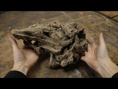 Видео: Я нашёл ИНТЕРЕСНЫЙ кусок коряги!!! и сделал из него КРУТУЮ ВЕЩЬ! Сделай сам