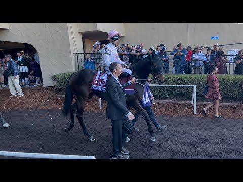 Видео: Ethical Diamond побеждает в соревнованиях Longines Breeders’ Cup Grade 1 2025 года в Del Mar