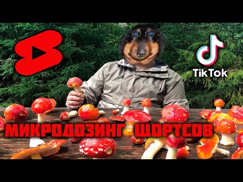 Видео: Давг и Пут - Микродозинг щортсами