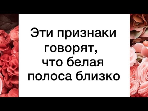 Видео: Не пропустите. Признаки, что белая полоса близко.