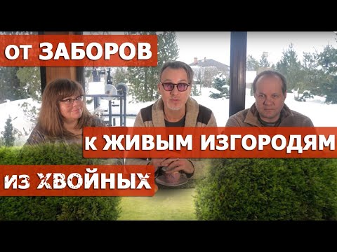 Видео: Туя, ель, пихта, тис и тсуга в живых изгородях.