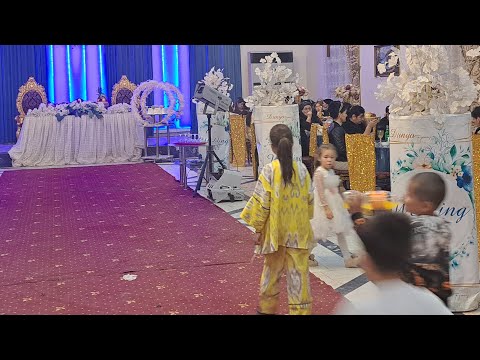 Видео: SHAX STUDIO в прямом эфире!