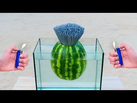 Видео: Эксперимент: Бенгальские Огни против Арбуза в Аквариуме