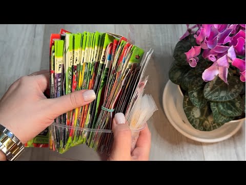 Видео: ТОЛЬКО ЭТИ ПЕРЦЫ ПОСАЖУ В 2025 ГОДУ, УРОЖАЙНЫЕ, СЛАДКИЕ с ТОЛСТОЙ СТЕНКОЙ