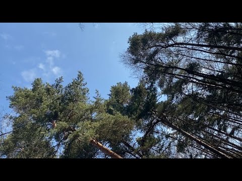 Видео: Как я избавляюсь от вещей