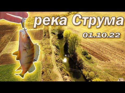 Видео: Река Струма 01.10.2022