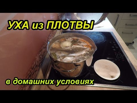 Видео: Уха из Плотвы. Рецепт приготовления блюда.