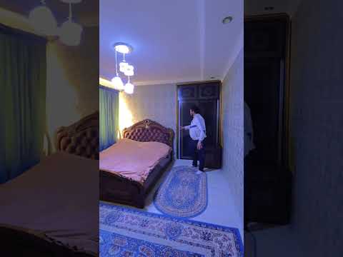 Видео: 13 ноября 2025 г.