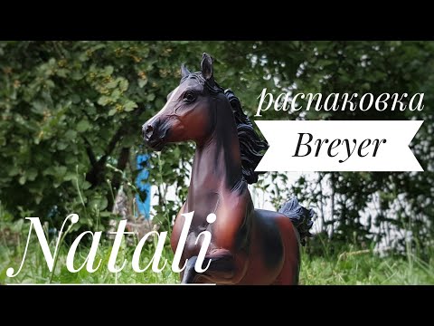 Видео: Распаковка лошади Breyer 1:9