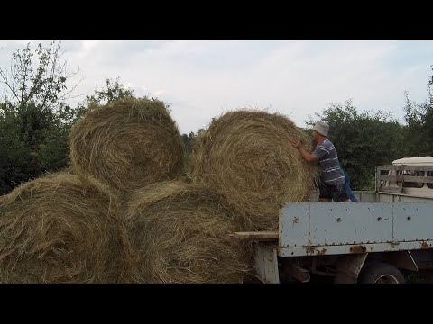 Видео: Заготовка лугового сена.