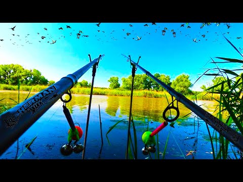 Видео: Рыбалка на кормаки с секретной прикормкой для карася.