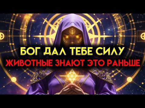 Видео: ИЗБРАННЫЙ!! БОГ ДАЛ ТЕБЕ СИЛУ - ДАЖЕ ЖИВОТНЫЕ ПОДЧИНЯЮТСЯ ТЕБЕ! 🦁✨
