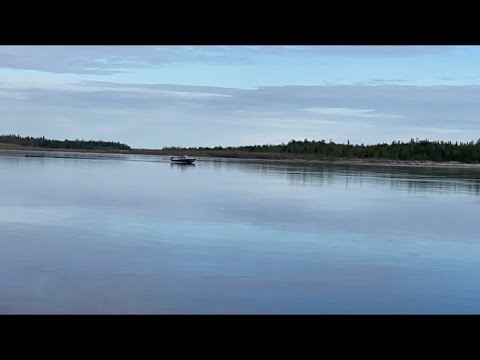 Видео: Ловись рыбка большая и маленькая