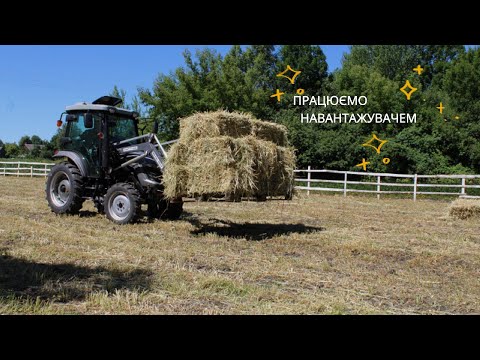 Видео: Працюємо навантажувачем, обробляю дерева садовим варом, вівці та діти, збираємо овес на сіно