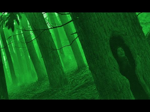 Видео: Старый Овраг (Опасная экспедиция)