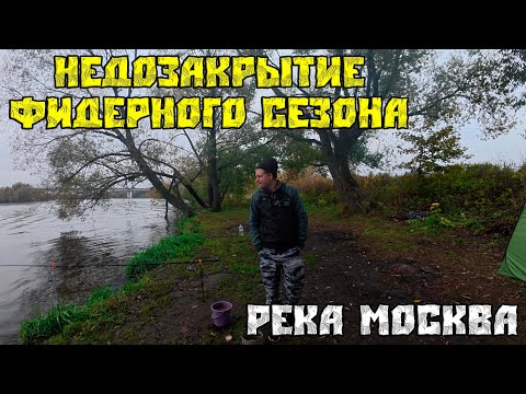 Видео: Недозакрытие фидерного сезона. Река Москва. Рыбалка на фидер.