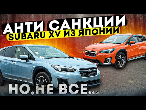 Видео: Три разных SUBARU XV 🔥 Лаконичные и мощные внедорожники 💪 Пока доступен бензиновый 1.6 😔