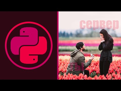 Видео: ВВОДНЫЙ УРОК ПО REQUESTS | Python 3, Питон 3