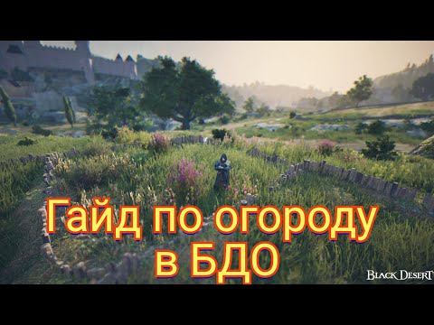 Видео: Гайд по огороду в Black Desert Online/2024 год.