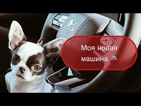 Видео: DS 4: моя радость 🚗 как я выбирала новую машину #leonawithcoffee