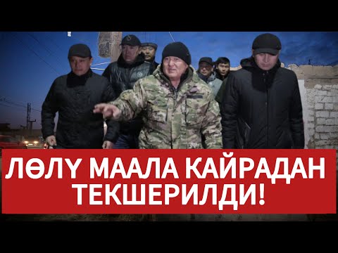 Видео: Ош МЭР: Лөлү МААЛАНЫ кайрадан ТЕКШЕРДИ// БИР дарак КУУРАСА  БАШЫҢ м/н жооп БЕРЕСИҢ!