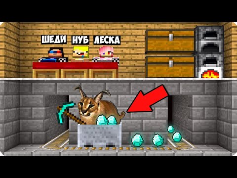 Видео: 🙀КОТ ШЛЁПА ВСЁ ЭТО ВРЕМЯ ЖИЛ ПОД НАШИМ ДОМОМ В МАЙНКРАФТ! ШЕДИ ЛЕСКА И НУБИК MINECRAFT