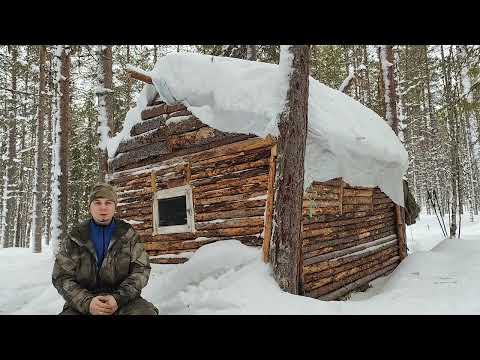 Видео: Я нашел УДИВИТЕЛЬНЫЙ способ сделать убежище в тайге