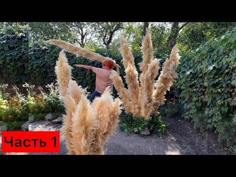 Видео: Выездная церемония Фотозона Композиции-гиганты из осветлённого тростника декор на выездную церемонию