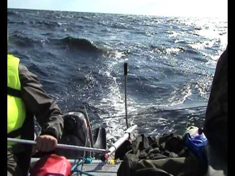 Видео: На парусном катамаране по Белому морю