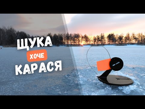 Видео: ЗИМОВА РИБАЛКА НА ЖЕРЛИЦІ. Ловимо щуку в лісовому озері Баунті. МОРМИШКА, БАЛАНСИР, ФІДЕР