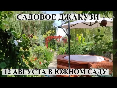 Видео: ОБЗОР САДА 12 августа 2022 С ЦВЕТАМИ Мой цветущий ЮЖНЫЙ САД редких коллекционных растений!